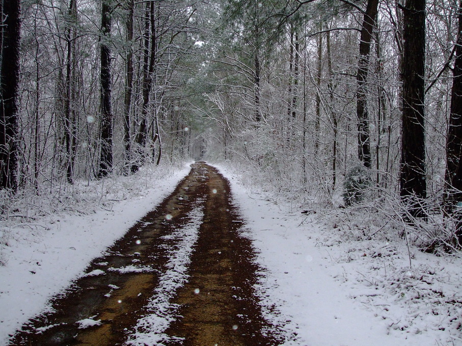 Moody,Alabama banner