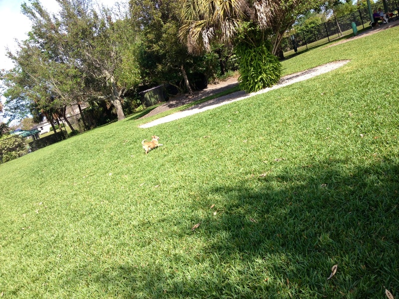 Coconut Creek,Florida banner