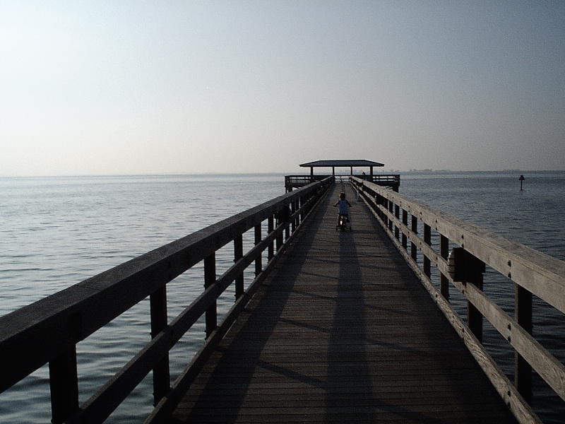 Safety Harbor,Florida banner