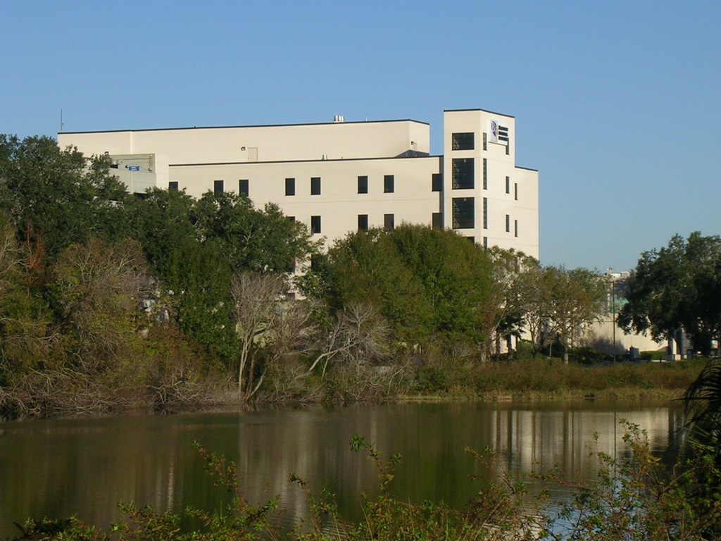 Brandon,Florida banner