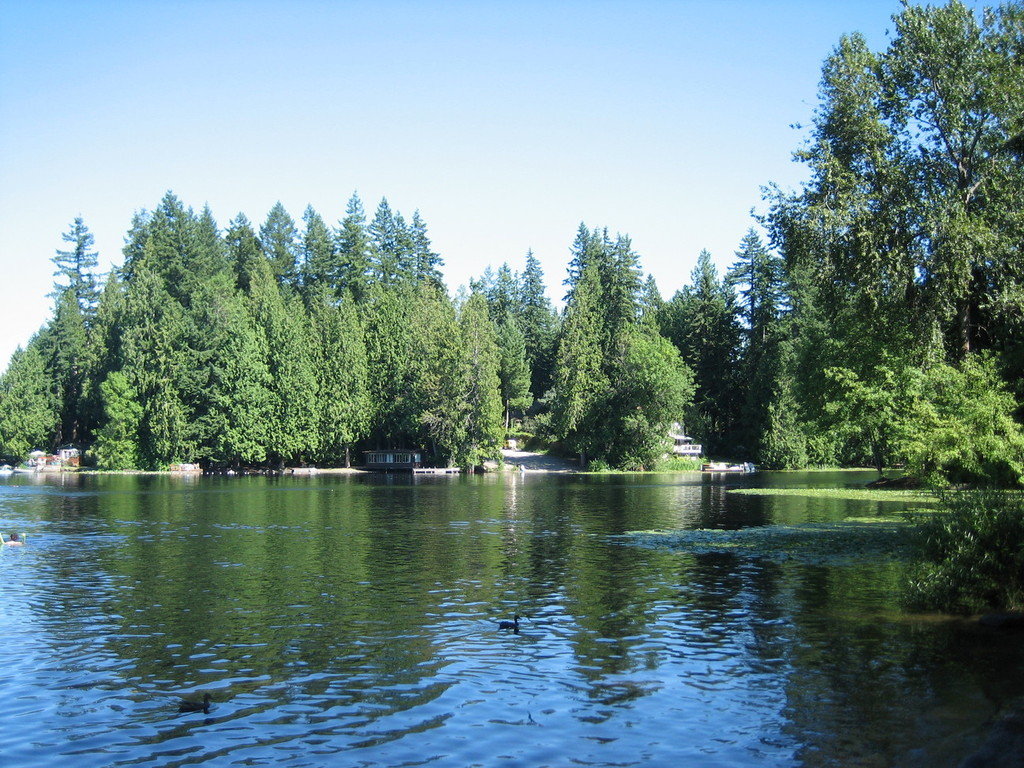 Sammamish,Washington banner